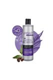 Expert Şampuan Biotin Caffeine 350 ml