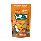 Humm Organic Mangolu Meyve Küpü 30 G