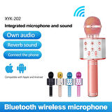Bluetooth Karaoke Mikrofon-Findit