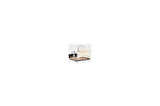 GOLD KALPLİ TABAKLIK 2 KATLI-Findit