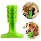 Köpek Diş Temizleyici ve Kaşıyıcı Sağlıklı Küçük Boy Oyuncak-Findit