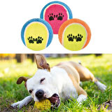 3&amp;apos;lü Renkli Desenli Tenis Topu Kedi Köpek Oyuncağı-Findit