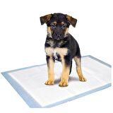 Köpek Tuvalet Pedi Köpek Çiş Pedi Büyük Boy 60x90 cm 10 Adet