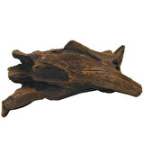 Mangrov Kökü Akvaryum Mango Kökü 35-40 Cm