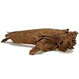 Mangrov Kökü Akvaryum Mango Kökü 35-40 Cm