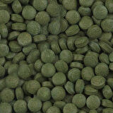 Sera Plankton Tabs Nature 100 Adet Kovadan Bölme