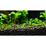 İthal Akvaryum Bitki Kumu Gübre Katkılı Yuvarlak Kum Siyah 8 kg