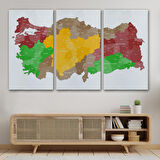 Harita Sepeti Türkiye Bölgeler haritası Dekoratif Kanvas Tablo 1004