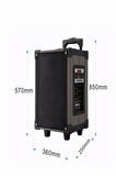 LT-912 Süper Bass Şarjlı Kumandalı Çift Mikrofonlu Hoparlör Karaoke Sistemi 100 Watt Taşınabilir Parti Box