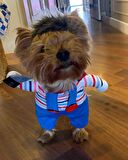 Katil Bebek Chucky Köpek Kostümü M Beden (6-8 kg)