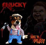 Katil Bebek Chucky Köpek Kostümü M Beden (6-8 kg)