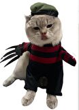 Freddy Krueger Kedi Kostümü S Beden (4-6 kg)