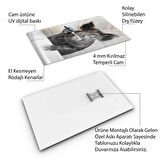 Hayvan Cam Tablo - Diş Fırçalayan Sevimli Dostlar - Dikey Motif 01-011