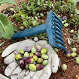 ZEYTİN HASAT PAKETİ 4X6 ZEYTİN SERGİSİ, 10 ADET ZEYTİN TIRMIĞI, ZEYTİN TOPLAMA EKİPMANLARI