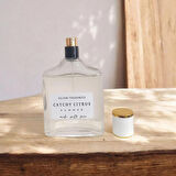 Catchy Citrus Summer Unisex Parfüm 100 ml Narenciye-Aromatik Kalıcı Yaz Parfüm