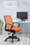 Metis Plus Çalışma Koltuğu Ofis Sandalyesi Bilgisayar Koltuğu