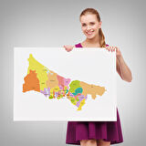 Harita Sepeti İstanbul İlçeler Haritası Dekoratif Kanvas Tablo 1017