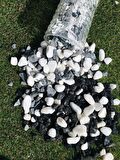 Karışık Renkli Çakıl Taşı 1-2 cm 2 kg Vazo Dibi Taşı Akvaryum Taş