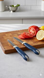 Tramontina 2’li Kısa Meyve Bıçağı Seti Paslanmaz Çelik Lacivert