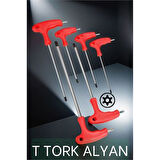 ModaCar T Tork Alyan Seti Eltos Design