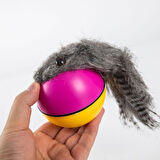 Kapamarka Hareketli Rakun Kedi Köpek Oyuncak