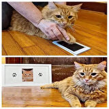 Kapamarka Kedi Köpek Pati İzi Fotoğraf Çerçevesi Seti