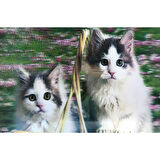 Kapamarka 5D ElBoyama Kedi Tablosu