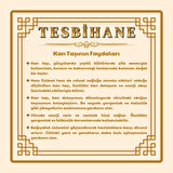 Silver Renk Metal Zincirli Amorf Kan Taşı Doğaltaş Kadın Kolye