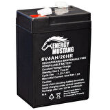 ENERGY MUSTANG 6 VOLT - 4 AMPER IŞILDAK AKÜSÜ (70 X 48 X 101 MM) 