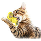 Pet Malzemeleri Vantuzlu Fırıldak Toplu Dönen Şeffaf Depo Tasarım İnteraktif Kedi Oyuncağı (5060)