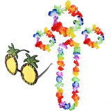 Periboia Renkli Ananas Gözlük, Taç, Kolye ve Bileklik Seti