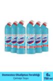 Domestos Maksimum Hijyen Okaliptus Normal Jel Çamaşır Suyu 6 x 750 ml
