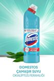 Domestos Maksimum Hijyen Okaliptus Normal Jel Çamaşır Suyu 6 x 750 ml