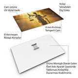 Mesleki Cam Tablo - Hukukçu - Yatay Motif 06-015