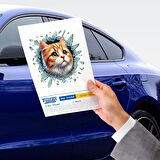 Fulcar Sarman Araç Stickerı 