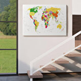Harita Sepeti Dünya Haritası Detaylı Dekoratif Kanvas Tablo 1059
