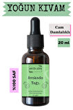 Avokado Yağı (20 ML) - %100 Seyreltilmemiş, Doğal Soğuk Sıkım Avokado Yağ
