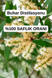 Nioli Yağı (10ml)- %100 Saf Seyreltilmemiş Niaouli Uçucu Yağı