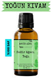 Sedir Ağacı Yağı - 10 ml (SEYRELTİLMEMİŞ, DOĞAL UÇUCU YAĞ)