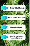 Sedir Ağacı Yağı - 10 ml (SEYRELTİLMEMİŞ, DOĞAL UÇUCU YAĞ)