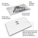 Hayvan Cam Tablo - Sevimli Dostlar Banyoda - Yatay Motif 02-011
