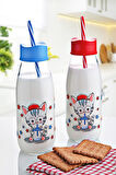 Pipetli Su Ve Süt Şişesi Cam 250 ML