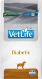 Vet Life Diabetic Köpek Maması 2 Kg (SKT:11.26)