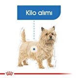 Royal Canin Mini Lightweight Kuru Köpek Maması 3kg