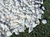 Dolomit Taş Beyaz Taş 7 Kg 2-4 Cm Dere Taşı Çakıl Taşı Dolamit