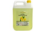 Luxor Kimya Limon Kolonyası 80 Derece Pet Bidon 5 lt