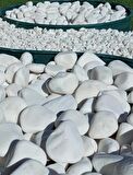 Beyaz Dolomit Taş 15 Kg 6-10 cm Dere Taşı Çakıl Taşı