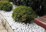 Beyaz Dolomit Taş 100 Kg 6-10 cm Dere Taşı Çakıl Taşı