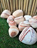 Sarı Çizgili Dolomit Taş 6 Kg 6-10Cm Renkli Dolomit Dekoratif Taş