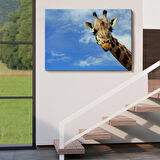 Harita Sepeti Zürafa Dekoratif Kanvas Tablo 1116